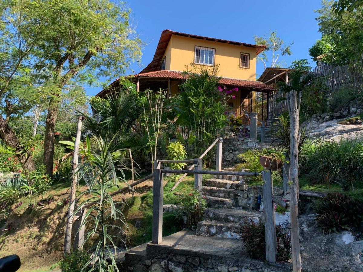 Casa Aleman * Flores